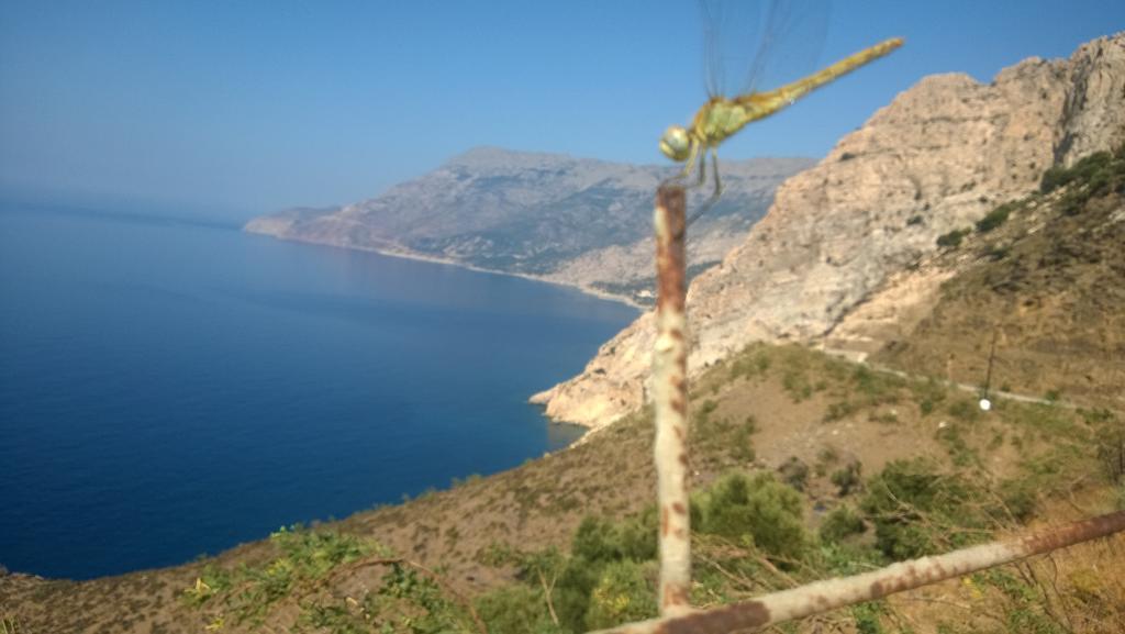 Ikaria Studios Manganitis Exterior photo